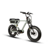 Eunorau FLASH 1.0 Electric Bike