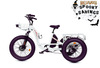 Ecotric 48V Electric Tricycle Bike