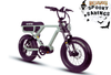 Eunorau Flash Electric Bike