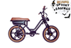 Eunorau Flash Lite ST Electric Bike
