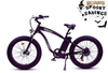 Ecotric Hammer 750W Fat Tire E-Bike for All Terrains