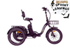 Eunorau One-Trike 2.0 Electric Bike