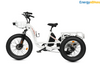 Ecotric 48V Electric Tricycle Bike