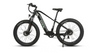 Eunorau FAT-AWD 2.0 Electric Bike