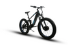 Eunorau Defender-S All-Terrain Electric Fat Tire Bike