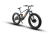 Eunorau Defender-S All-Terrain Electric Fat Tire Bike