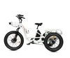 Ecotric 48V Electric Tricycle Bike