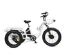 Ecotric 48V Electric Tricycle Bike