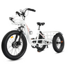 Ecotric 48V Electric Tricycle Bike