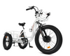 Ecotric Ecotric 48V 24"x4.0 Front 20"x4.0 Rear Tires Tricycle electric bike with Front Basket + Rear Rack White