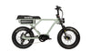 Eunorau FLASH 1.0 Electric Bike