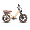 Eunorau Flash Lite ST 1.0 Electric Bike