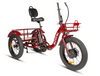 Eunorau NEW-TRIKE 2.0 Electric Cargo Tricycle