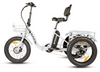 Eunorau NEW-TRIKE 2.0 Electric Cargo Tricycle