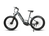 Eunorau FAT-HD 2.0/HUNTER X7 Electric Bike