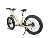 Eunorau FAT-HD 2.0/HUNTER X7 Electric Bike