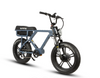 Eunorau Flash 2.0 Electric Bike