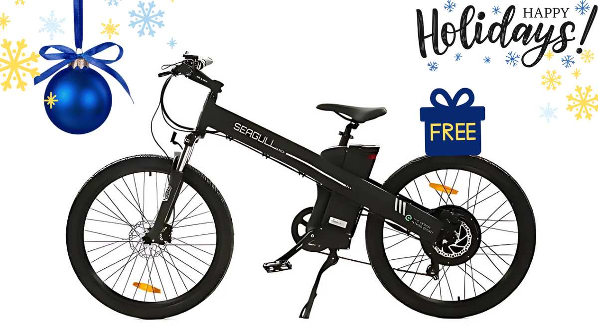 Ecotric seagull shop