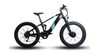 Eunorau Defender-S All-Terrain Electric Fat Tire Bike