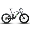 Eunorau FAT-HS/Hunter X8 Electric Fat Tire Mountain Bike