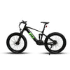 Eunorau FAT-HS/Hunter X8 Electric Fat Tire Mountain Bike
