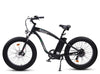 Ecotric Hammer 750W Fat Tire E-Bike for All Terrains