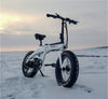 Jupiter Bike Defiant Foldable Fat Tire Electric Bike