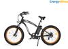 Ecotric Hammer 750W Fat Tire E-Bike for All Terrains