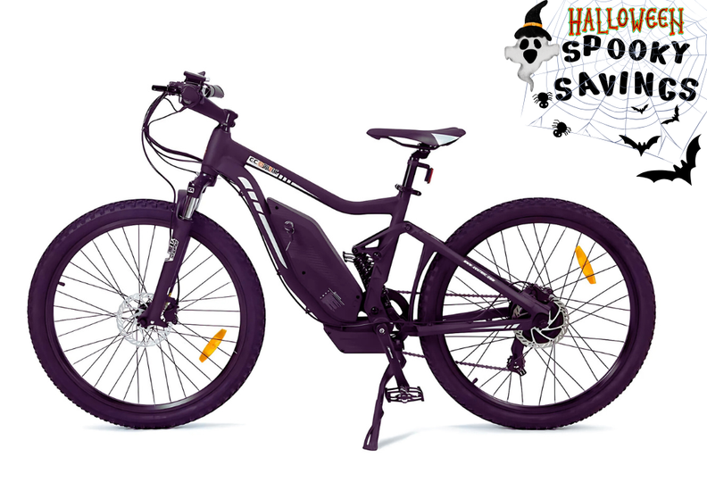 Ecotric Seagull 1000W Electric Bike – Energy eBikes