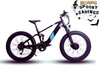 Eunorau Defender-S 750W All-Terrain Electric Fat Tire Bike