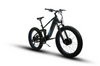 Eunorau DEFENDER-S Fat Tire Electric Bike