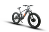 Eunorau DEFENDER-S Fat Tire Electric Bike