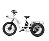 Ecotric 48V Electric Tricycle  Bike