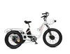 Ecotric 48V Electric Tricycle  Bike