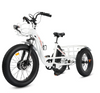 Ecotric 48V Electric Tricycle  Bike