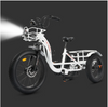 Ecotric 48V Electric Tricycle  Bike