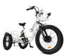 Ecotric 48V Electric Tricycle  Bike