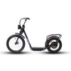 Eunorau JUMBO Electric Bike