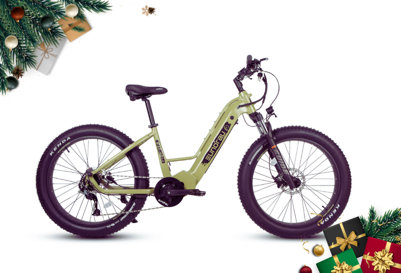 Ecotric Seagull Electric Mountain Bicycle – Energy eBikes