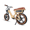 Eunorau Flash Lite ST Electric Bike