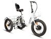 Eunorau NEW-TRIKE 2.0 Electric Cargo Tricycle