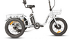 Eunorau NEW-TRIKE 2.0 Electric Cargo Tricycle
