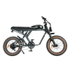 Revi Bikes Cougar