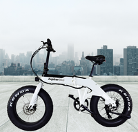 Jupiter Bike Defiant Foldable Fat Tire Electric Bike