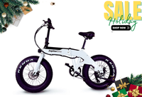 Jupiter Bike Defiant Foldable Fat Tire Electric Bike