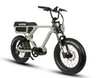 Eunorau Flash Electric Bike