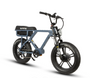 Eunorau Flash Electric Bike