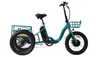 Eunorau NEW-TRIKE Electric Cargo Tricycle