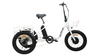 Eunorau NEW-TRIKE Electric Cargo Tricycle