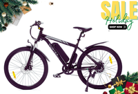Ecotric Vortex 350W Electric Bike